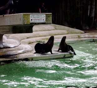 Zoo Osnabrück