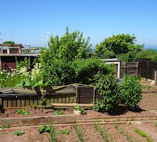 Rundgang durch die Schrebergarten-Kolonie