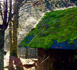 Wandern Bannwald Baiersbronn	