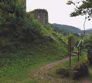 Ruine Schenkenburg