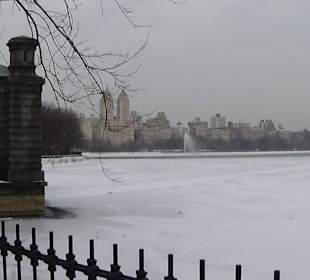 Zamarznięty staw w sercu Central Parku