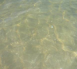 Meeresboden in Strandnähe