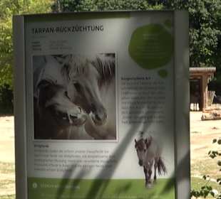 Tierpark Hellabrunn