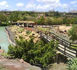 Blick über den Park