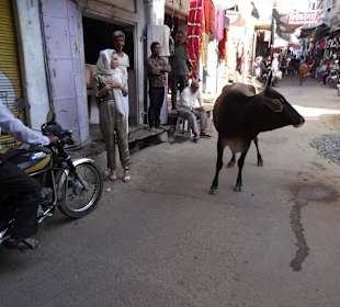 Läßt sich nicht stören