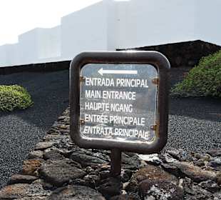  Jameos del Agua Cesar Manrique