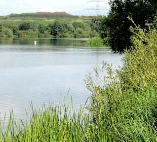 Blick über den Waller Feldmarksee