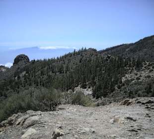 Park Teide