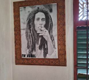 9 Mills