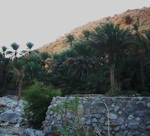 Wadi Bani Khalid