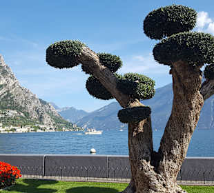 Uferpromenade