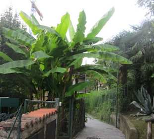 Botanischer Garten Bergamo