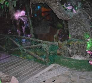 Eingangsbereich in Urwaldform