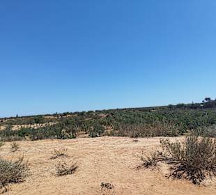 Quad Tour Port El-Kantaoui 