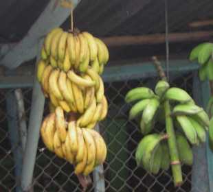 Berg & Tal mit Extra Tours