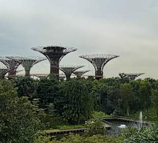 Gardens by the Bay