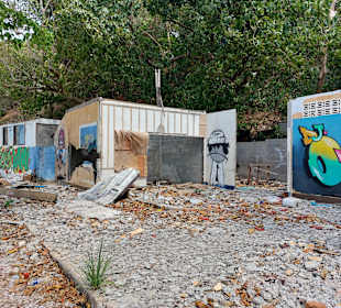 Ao Sane  Februar / März 2023