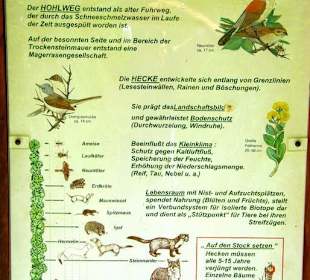 Wanderung zum Bärenfels