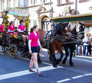 Jungbäuerinnen Fürth Reife Früchte-Freches Gemüse