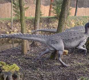 Bałtów - dinozaury