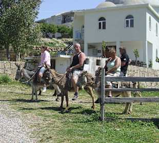 Eselsafarie