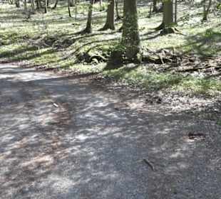 Waldlehrpfad an der Lauter