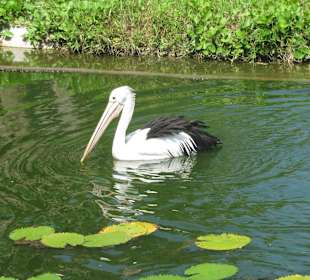 В зоопарке Бали