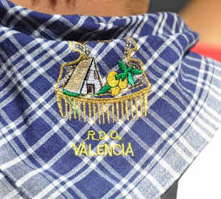 Fin de semana en fallas de valencia