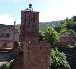 Schloss Heidelberg Ein- und Ausblicke