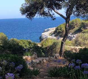 Drachenhöhle / Coves del Drac