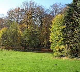 Eindrücke aus dem Bürgerpark Bremerhaven