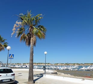 Fahrt zum Castillo de Sancti Petri