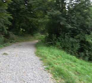 Altwege Rundwanderung Bebenhausen