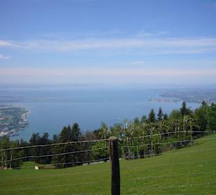 Blick vom Pfänder auf den Bodensee