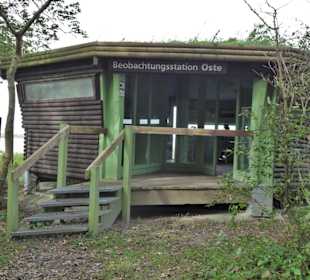 Vogelbeobachtungsstation im Natureum