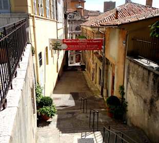 "Старый" Грасс