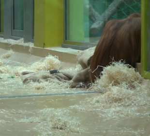 Tierpark Hellabrunn - Welt der Affen