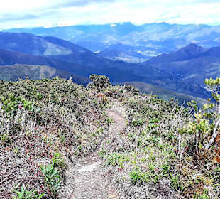 Podocarpus Nationalpark