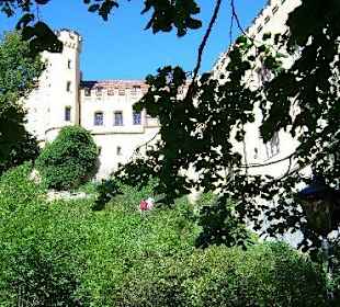 Ausblick auf Schloss Hohenschwangau