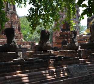 Ayutthaya Ausflug