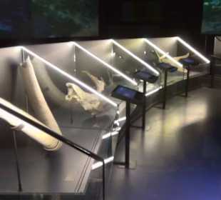 Museum de San Isidro