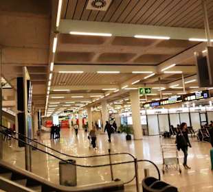 In den ersten Hallen