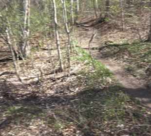 Wanderweg Hochgehkämpft