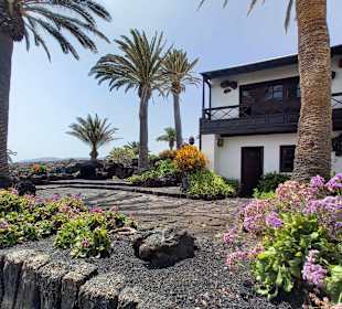 Jameos del Agua Cesar Manrique