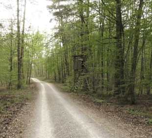 Wanderweg Firstwaldrunde