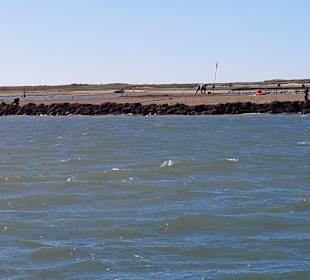 Bootstour Ria Formosa