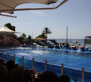Marineland Mallorca