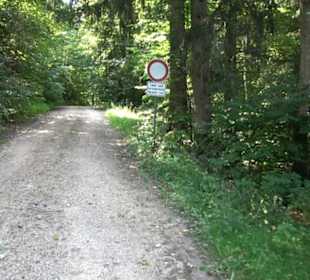 Sternberg
