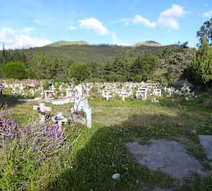 Hier liegen die, die keine Geld haben