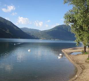 Am Hafen von Porlezza